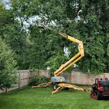 Best Lawn Maintenance Plans  in West Sand Lake, NY