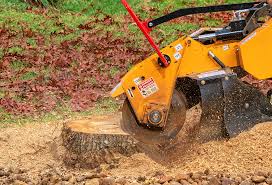 Best Utility Line Clearance  in West Sand Lake, NY