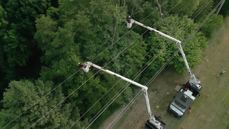 Best Storm Damage Tree Cleanup  in West Sand Lake, NY