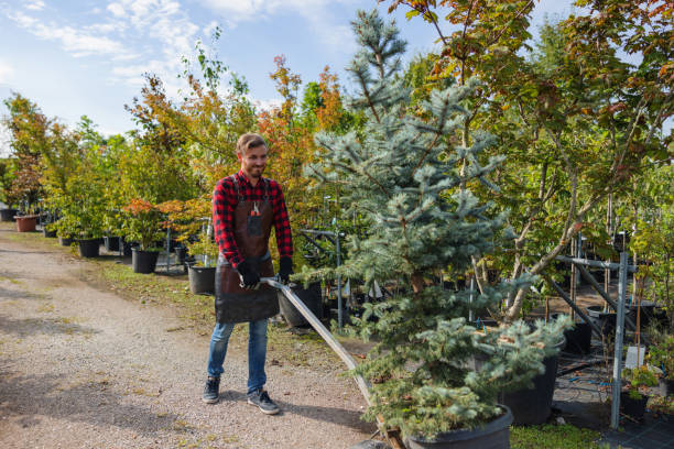 Best Landscape Design and Installation  in West Sand Lake, NY